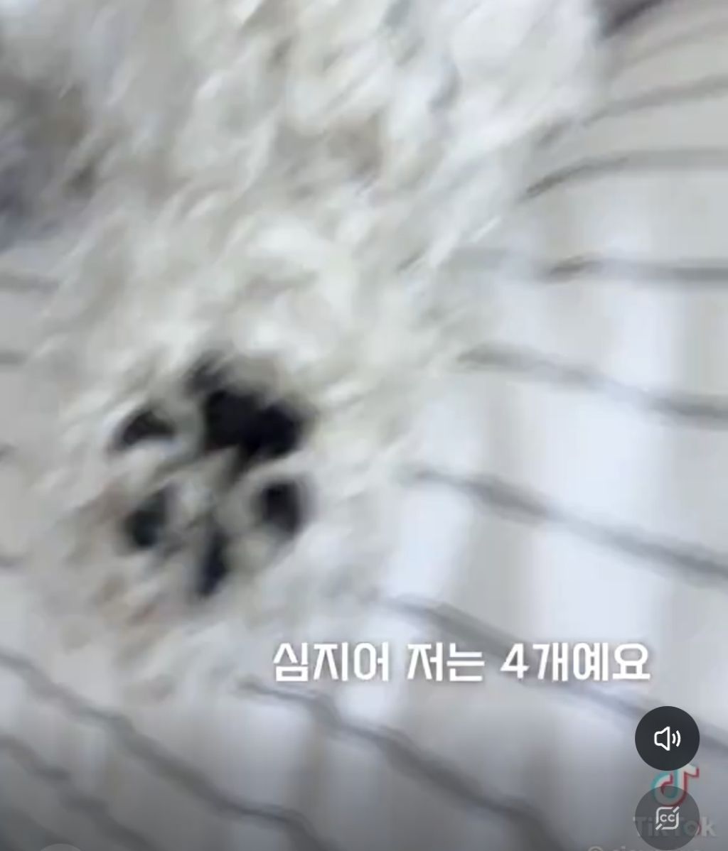 발 모자이크 왜했어요? | 인스티즈