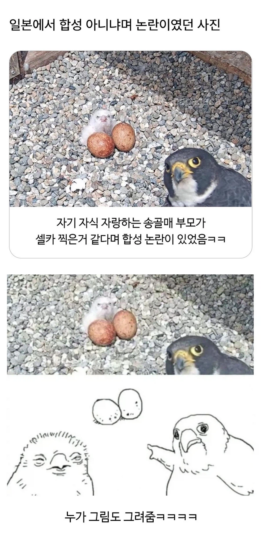 일본에서 합성 아니냐며 논란이 된 사진 | 인스티즈