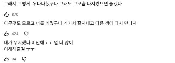 강아지가 목욕 후 미친 듯이 뛰는 이유 | 인스티즈