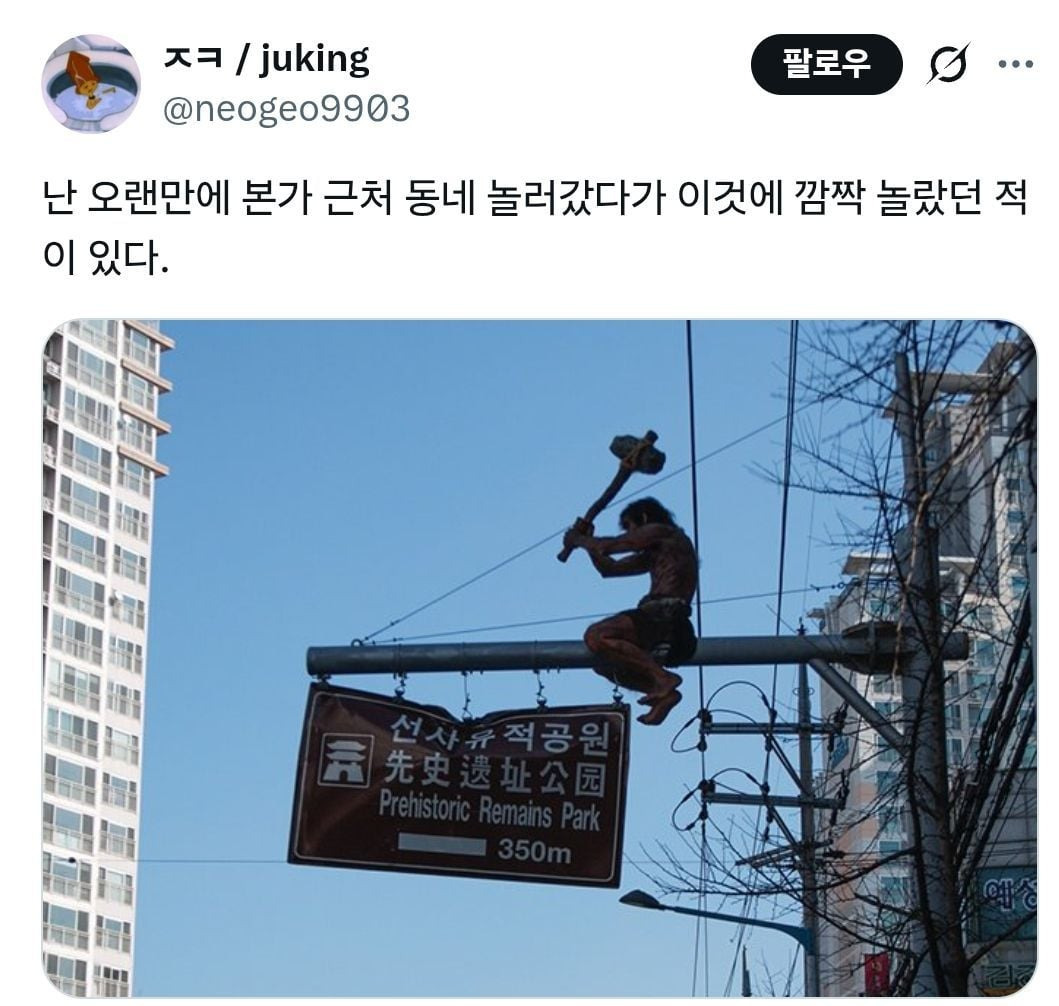 외지인을 반기는 대구 명물 모음 | 인스티즈