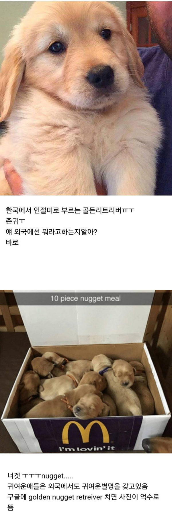 한국에선 인절미 외국에선 | 인스티즈