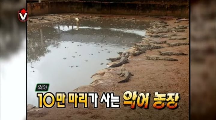 [무한도전] 번쩍~번쩍~번쩍~몰까나~ 🎶 | 인스티즈