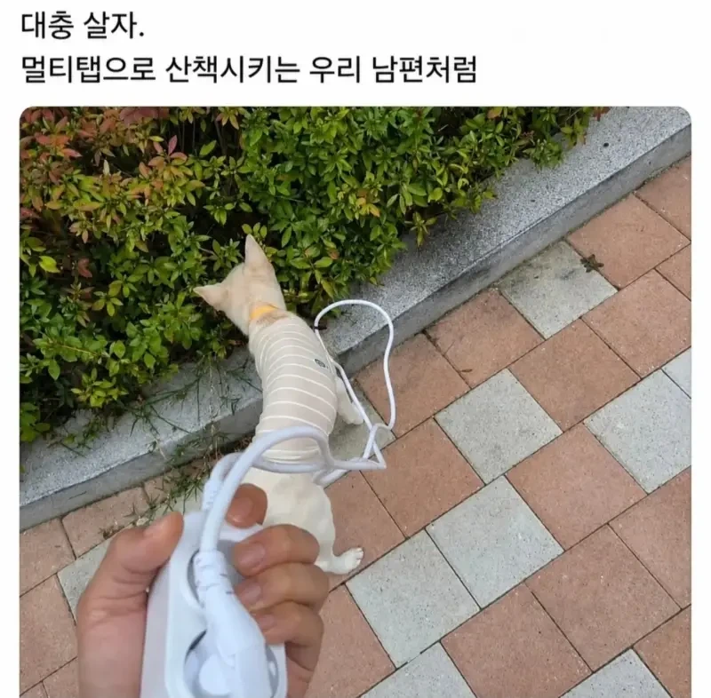 대충 살자~ | 인스티즈