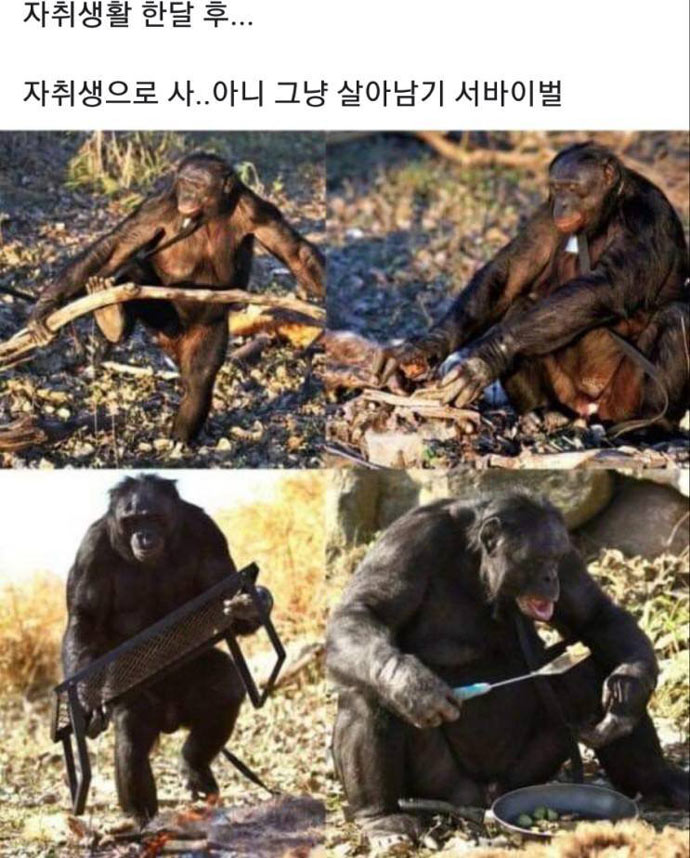 자취생활 한달 후 | 인스티즈