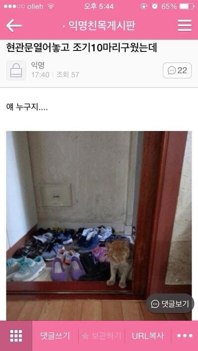 문 열고 조기 구웠더니 | 인스티즈