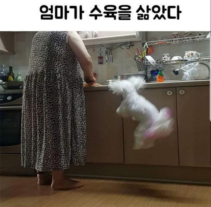 엄마가 수육을 삶았다 | 인스티즈