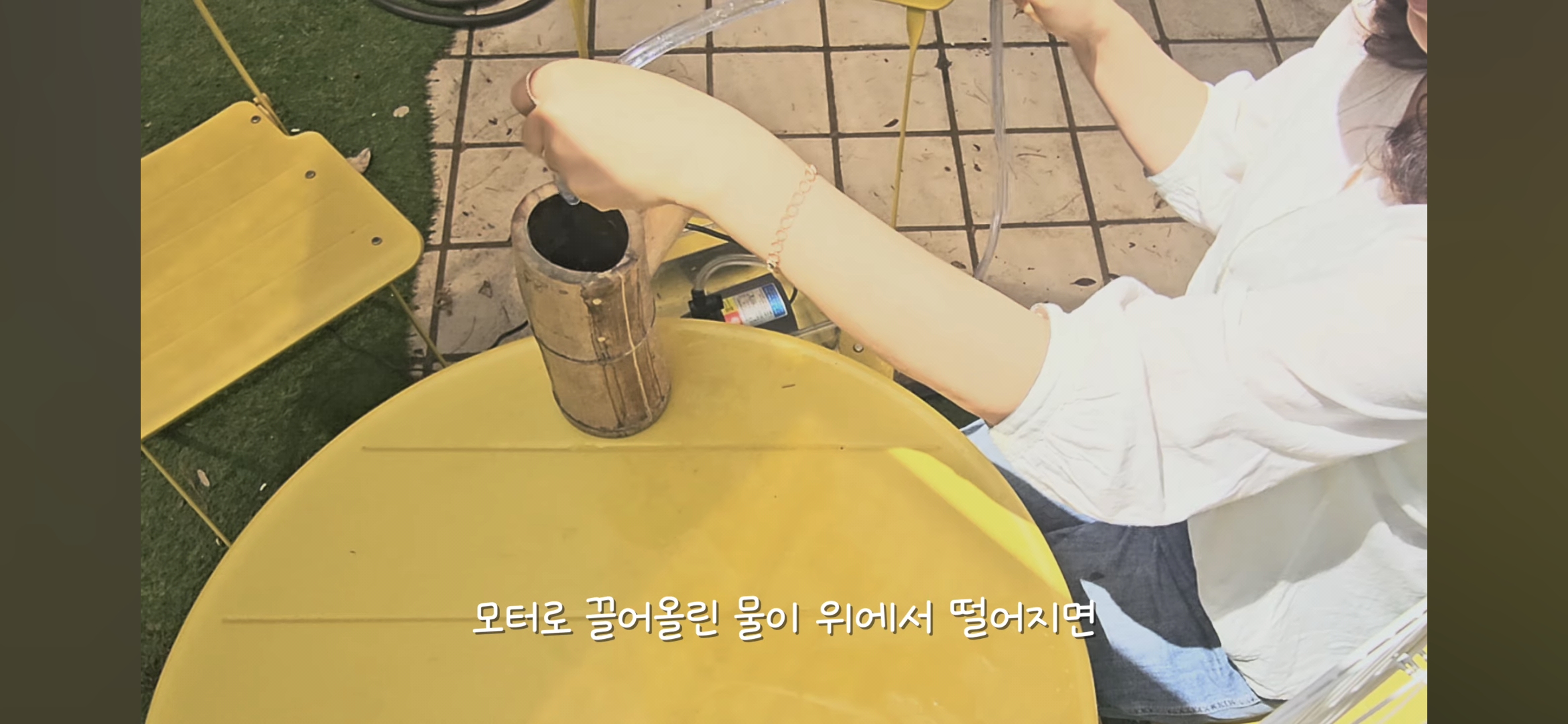 다이소로 만든 연못 정원🌿 관리 (+🐦🦜) | 인스티즈