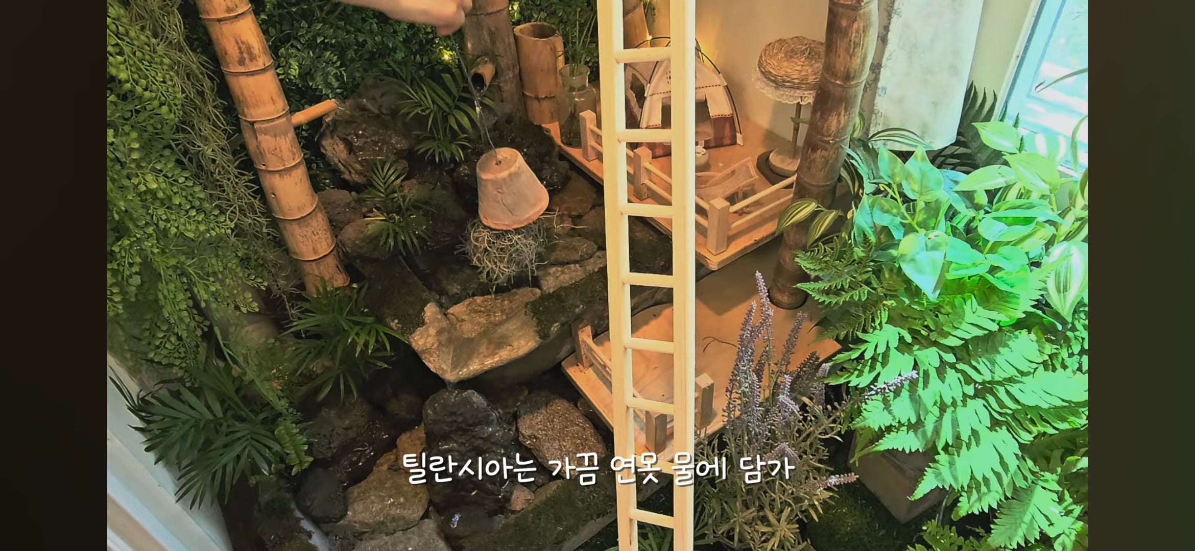 다이소로 만든 연못 정원🌿 관리 (+🐦🦜) | 인스티즈