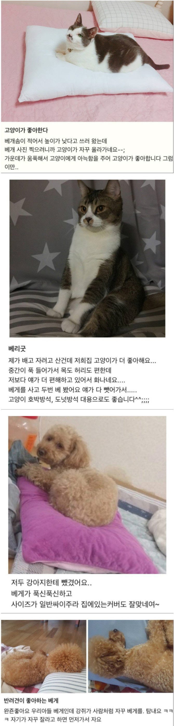 베개 구매 후기 | 인스티즈