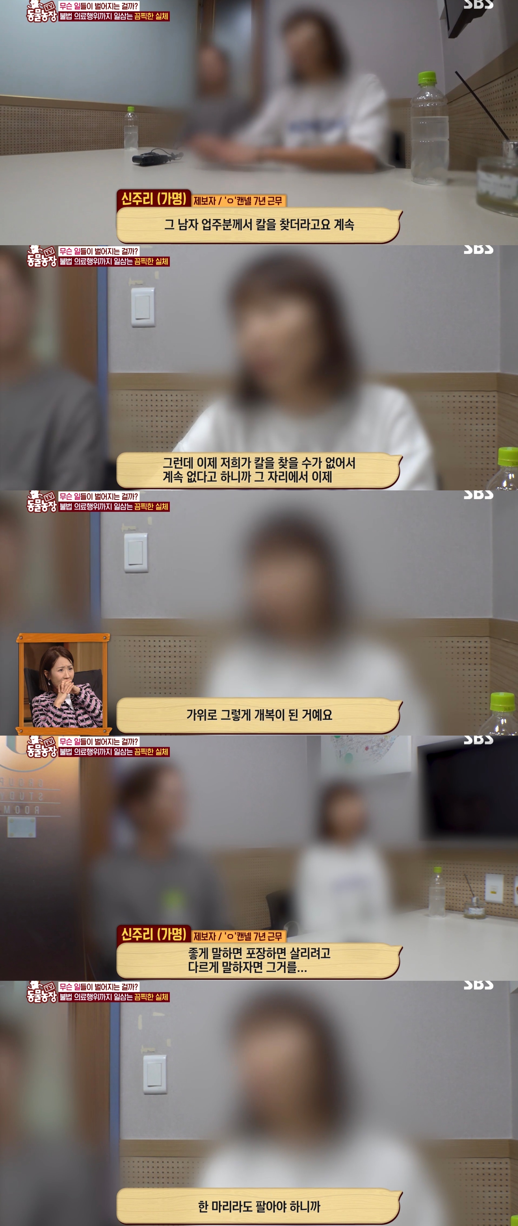 충격이다 못해 기괴한 오늘자 동물농장 폭로 방송 (충격주의).jpg | 인스티즈