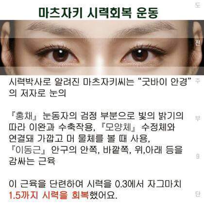 시력 좋아지는 방법 | 인스티즈