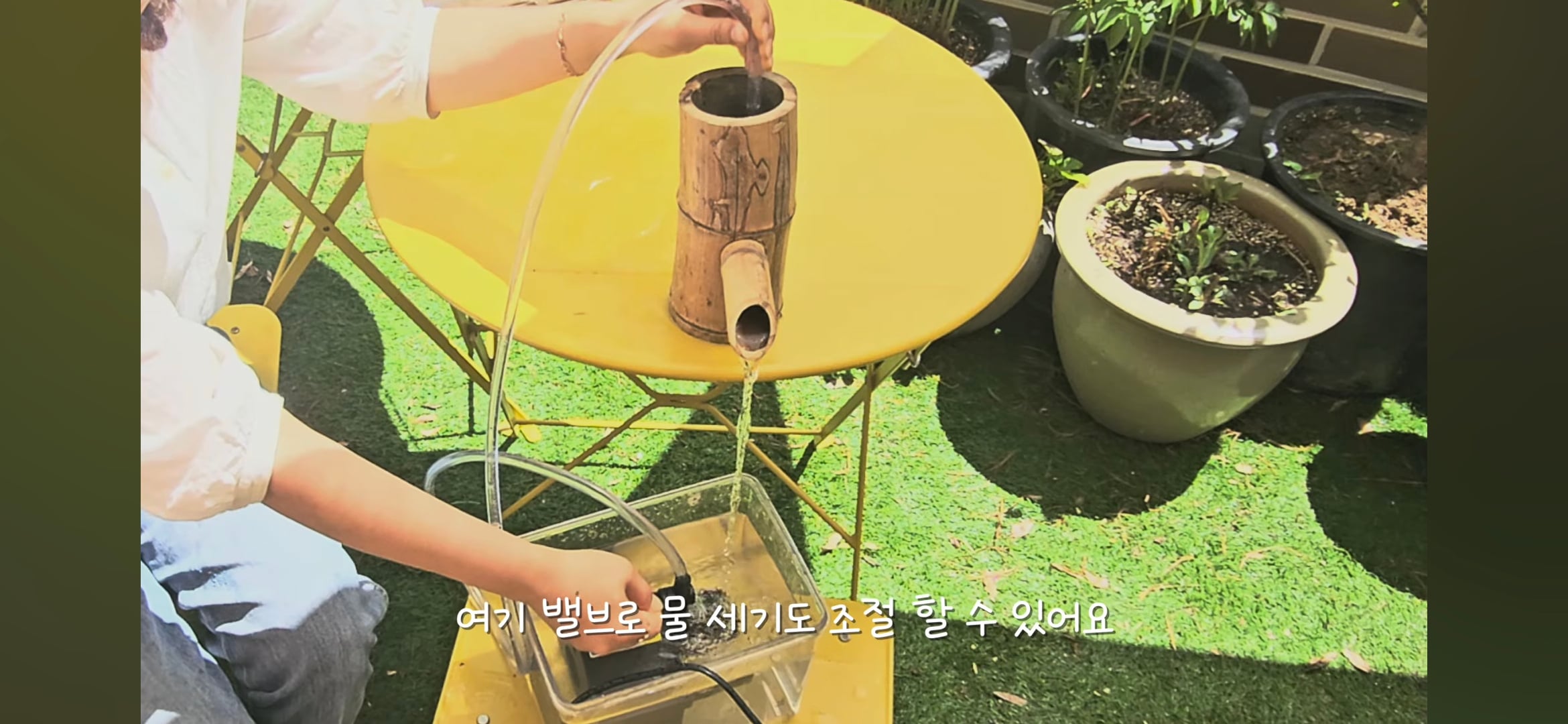 다이소로 만든 연못 정원🌿 관리 (+🐦🦜) | 인스티즈