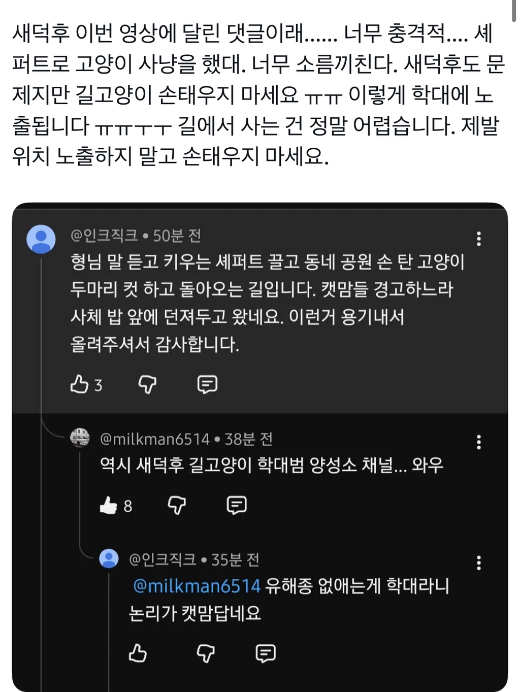 길냥이 학대범들이 모이는중인 새덕후 댓글창 | 인스티즈