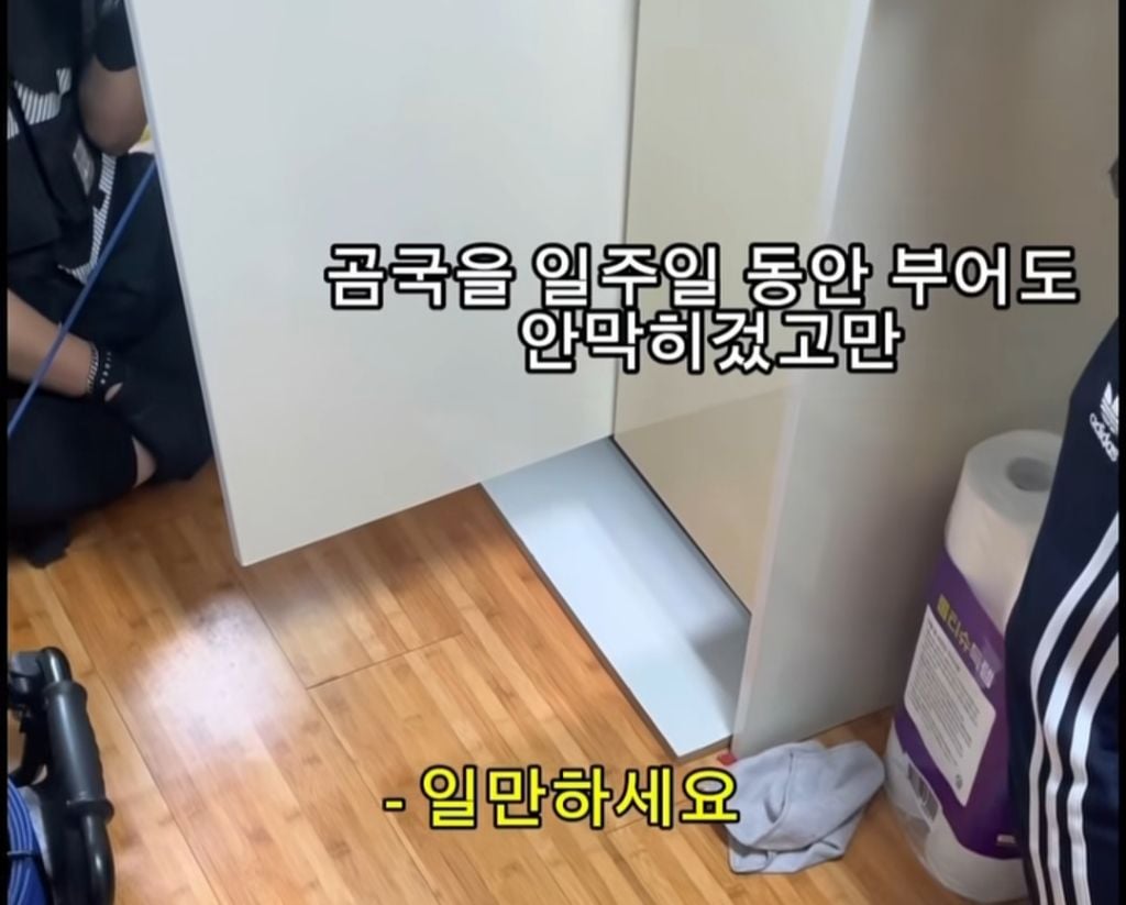 월세 세입자들 ptsd 온다는 마라탕 대참사 | 인스티즈