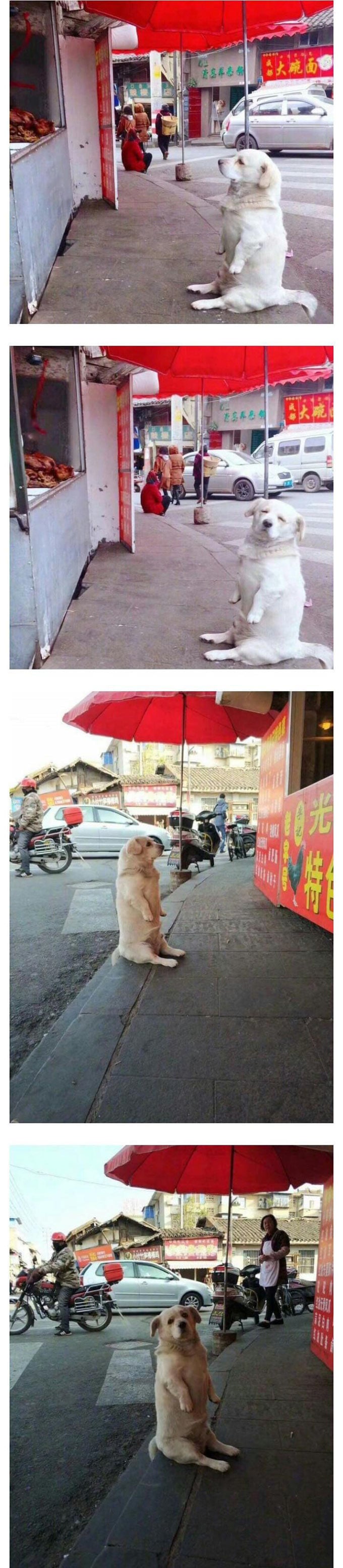 치킨이 너무 먹고 싶멍 | 인스티즈