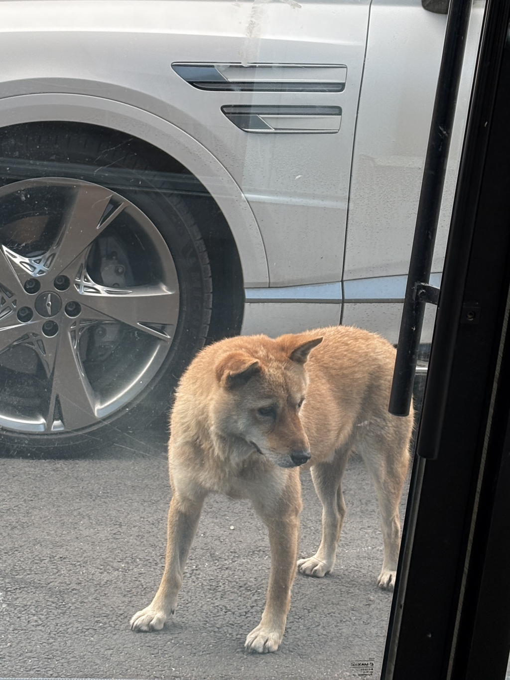 내가 멍줍해온 가나디 봐줘 ··· | 인스티즈