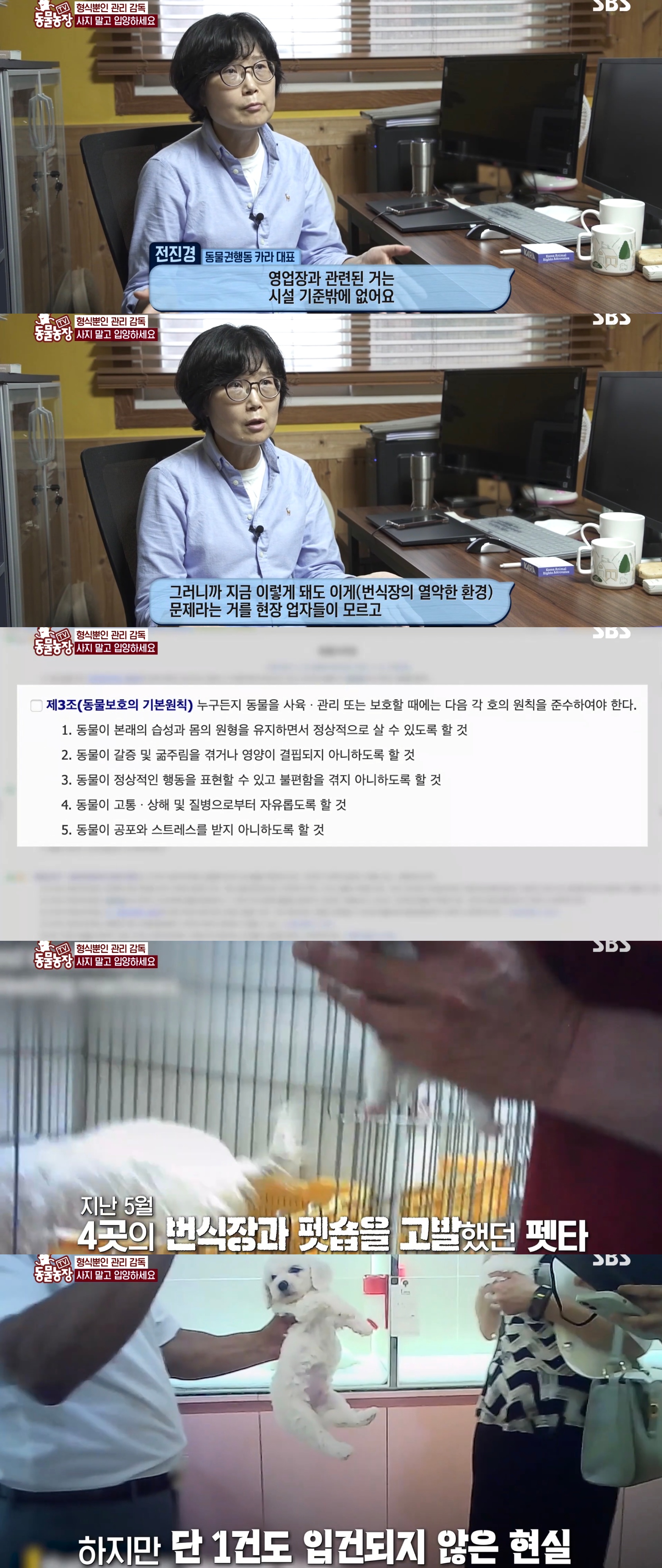 충격이다 못해 기괴한 오늘자 동물농장 폭로 방송 (충격주의).jpg | 인스티즈