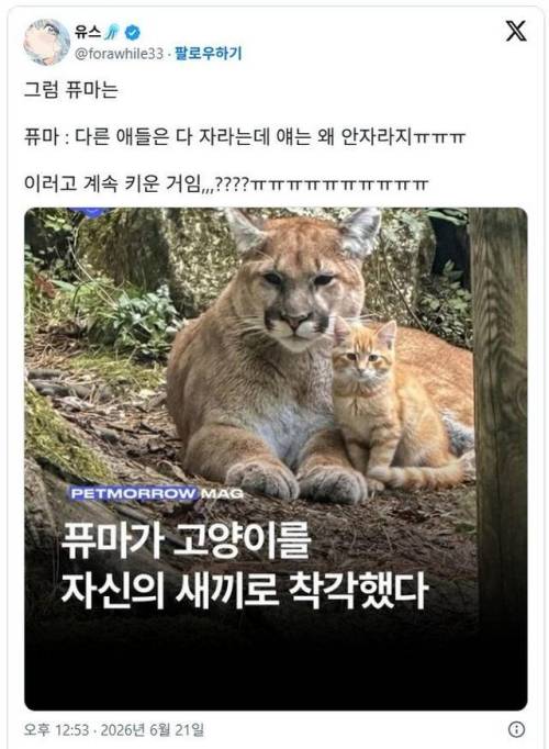 우리 애기가 너무 안 자라요 | 인스티즈