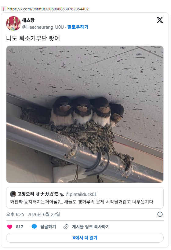 양심없는 쉬었음 제비들 | 인스티즈