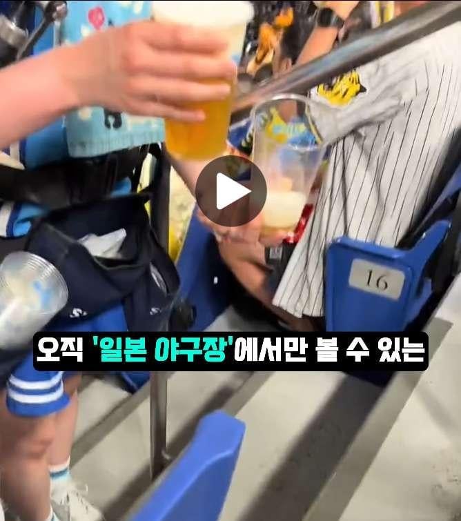 일본에 비어걸 문화가 생긴 이유 | 인스티즈