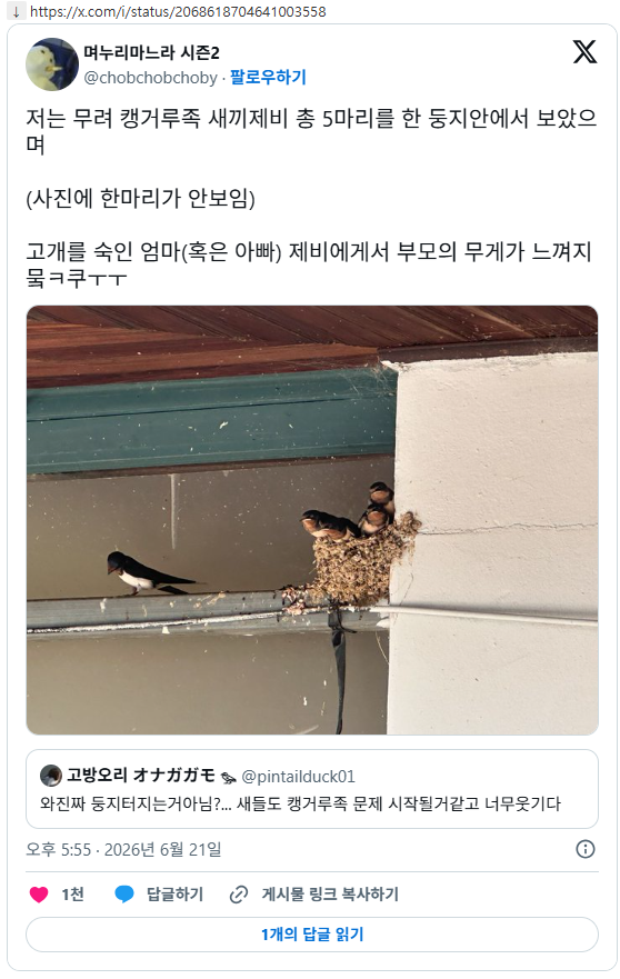 양심없는 쉬었음 제비들 | 인스티즈