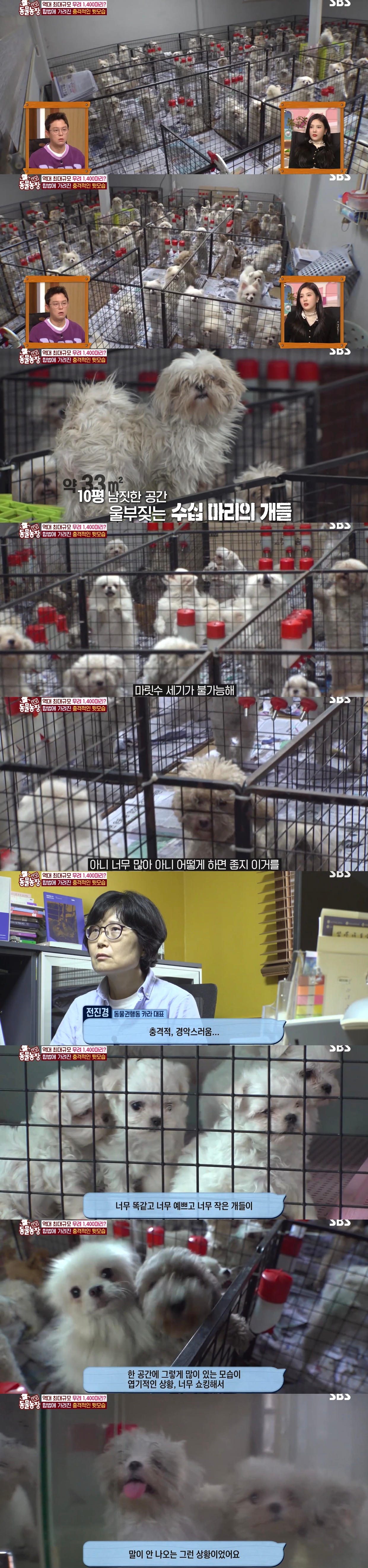 충격이다 못해 기괴한 오늘자 동물농장 폭로 방송 (충격주의).jpg | 인스티즈