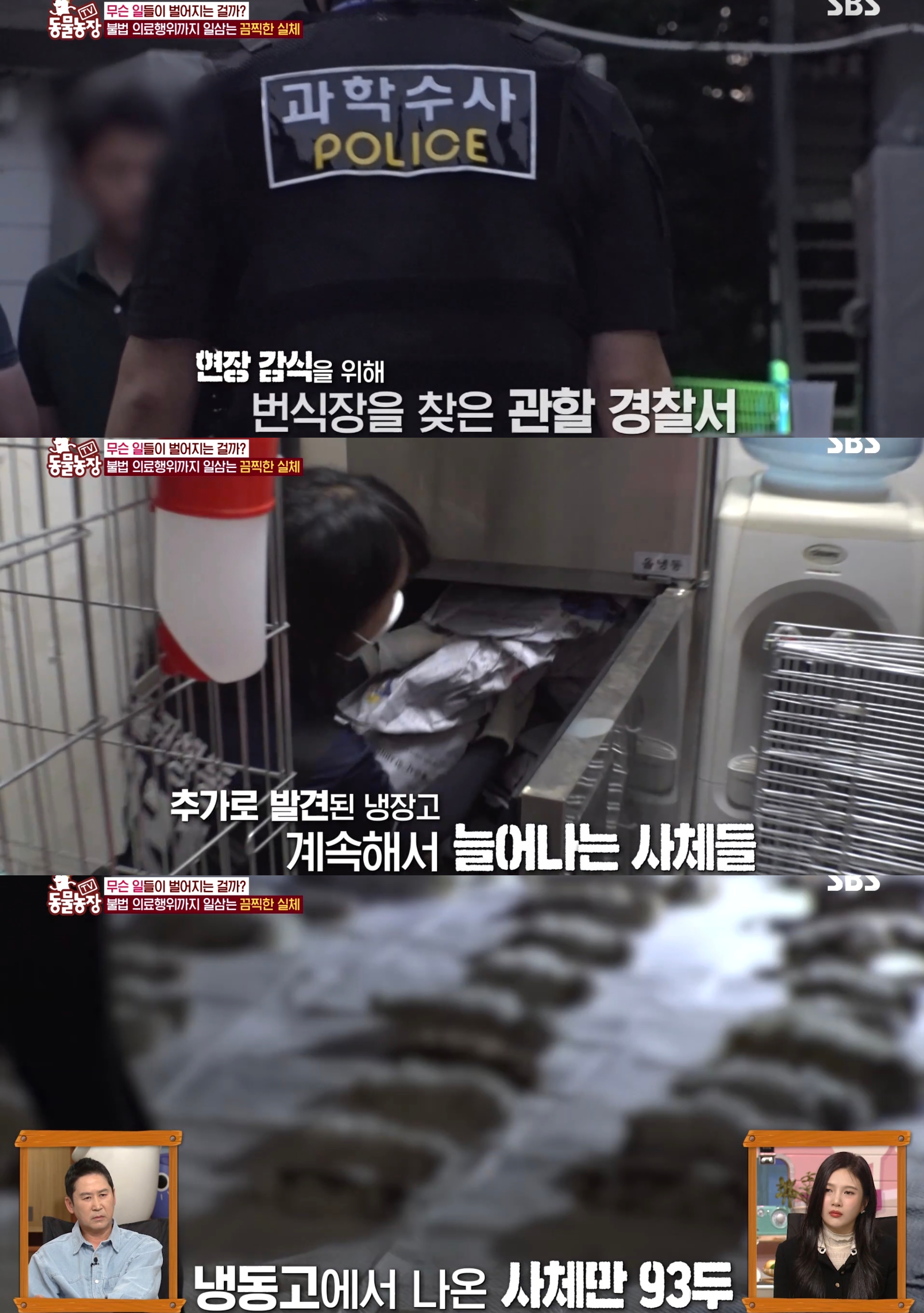 충격이다 못해 기괴한 오늘자 동물농장 폭로 방송 (충격주의).jpg | 인스티즈