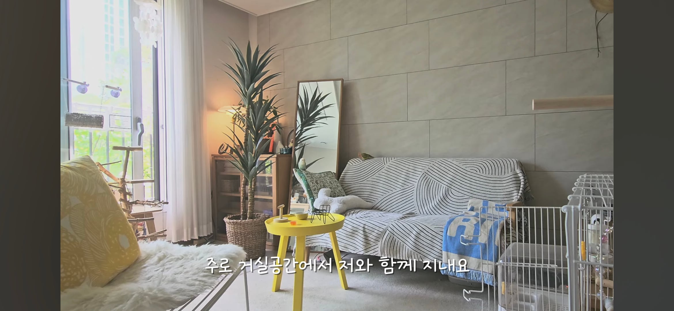다이소로 만든 연못 정원🌿 관리 (+🐦🦜) | 인스티즈