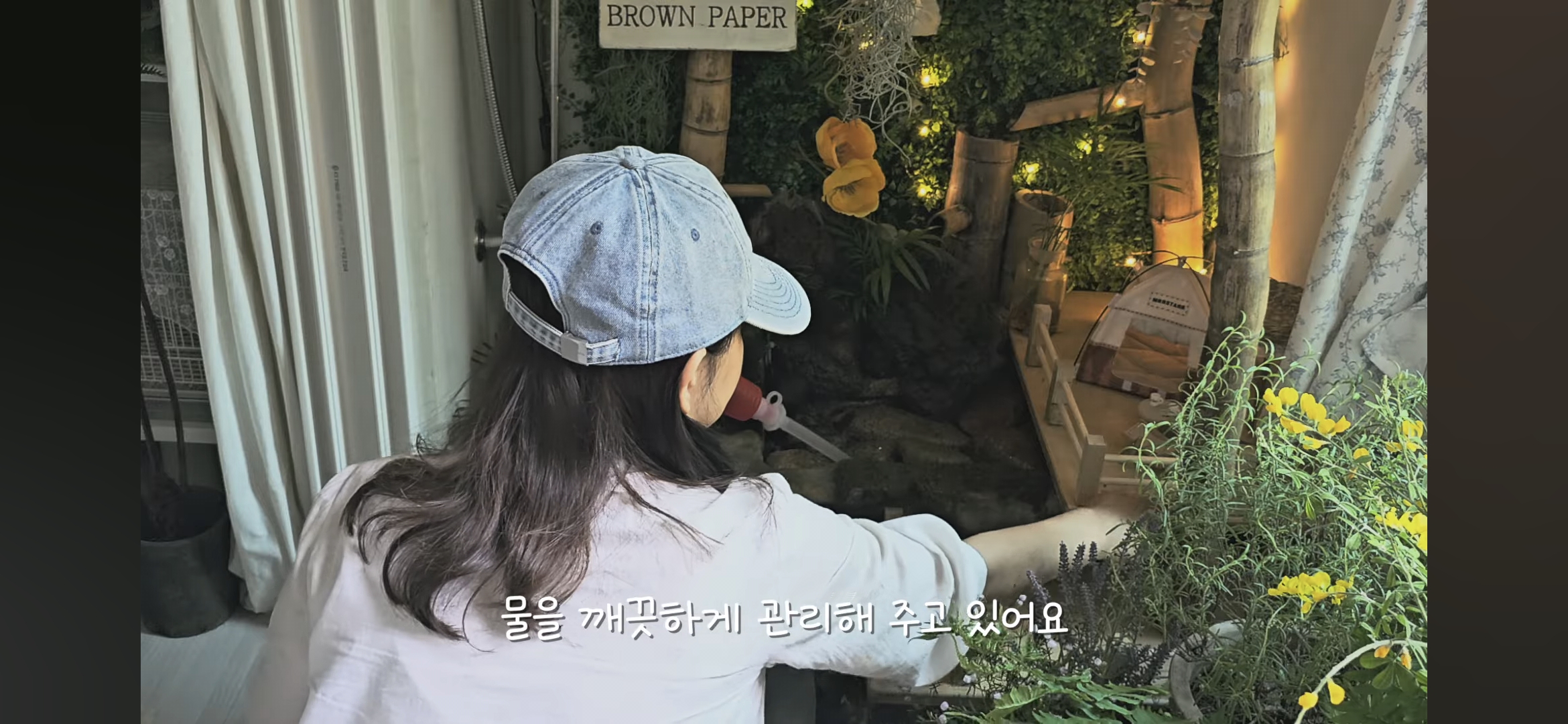 다이소로 만든 연못 정원🌿 관리 (+🐦🦜) | 인스티즈