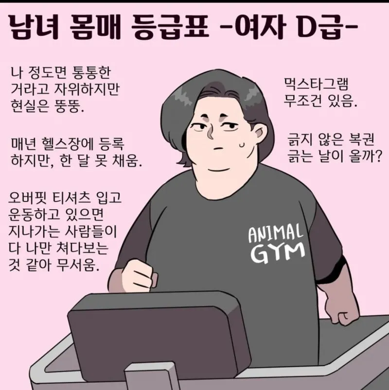 남녀 몸매 등급표 A~D | 인스티즈