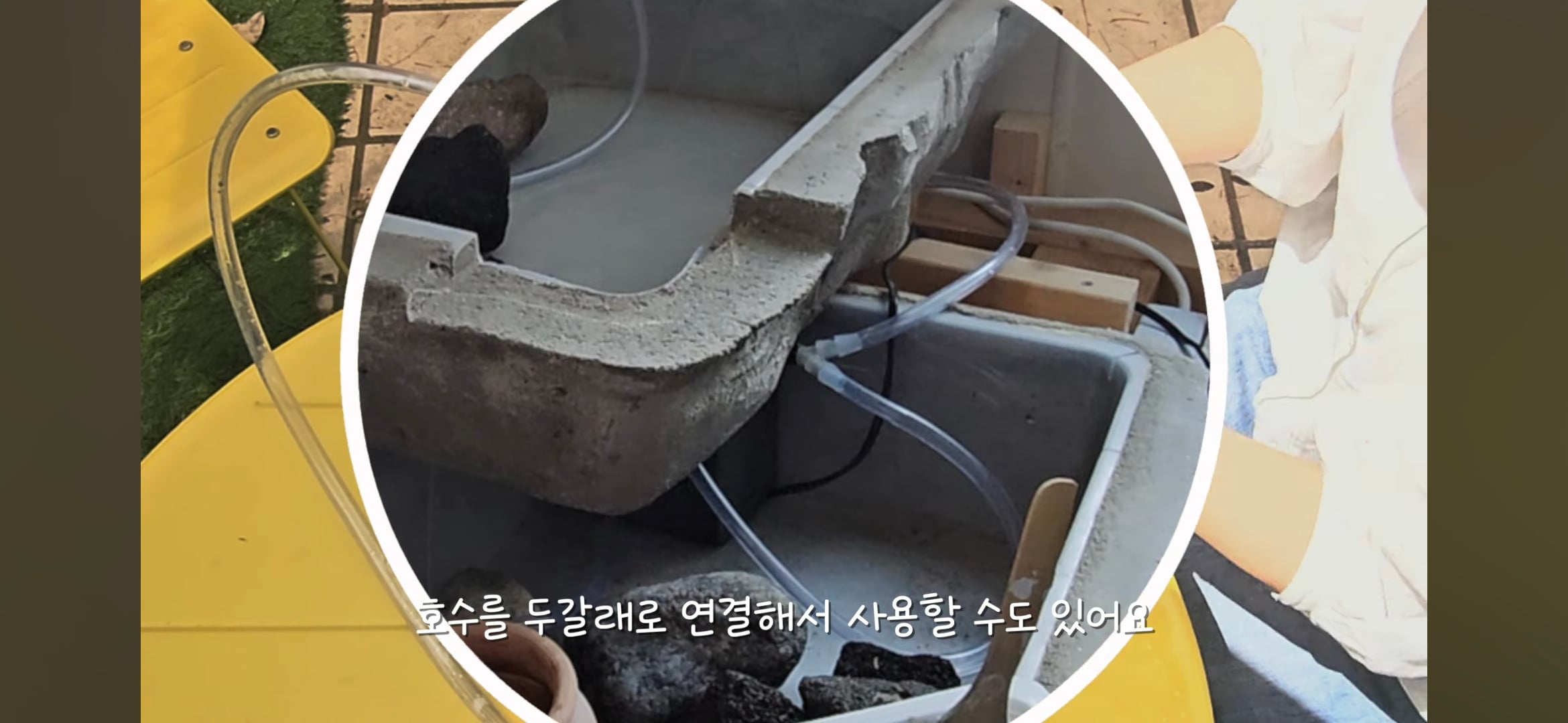 다이소로 만든 연못 정원🌿 관리 (+🐦🦜) | 인스티즈