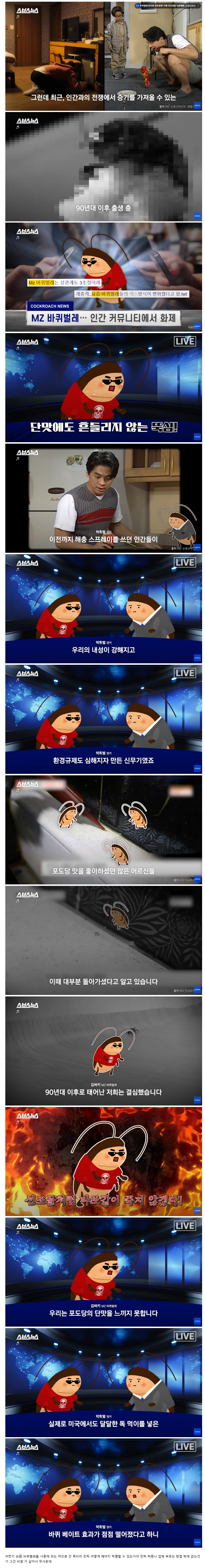 요즘 바퀴벌레가 쉽게 죽지 않는 이유 | 인스티즈