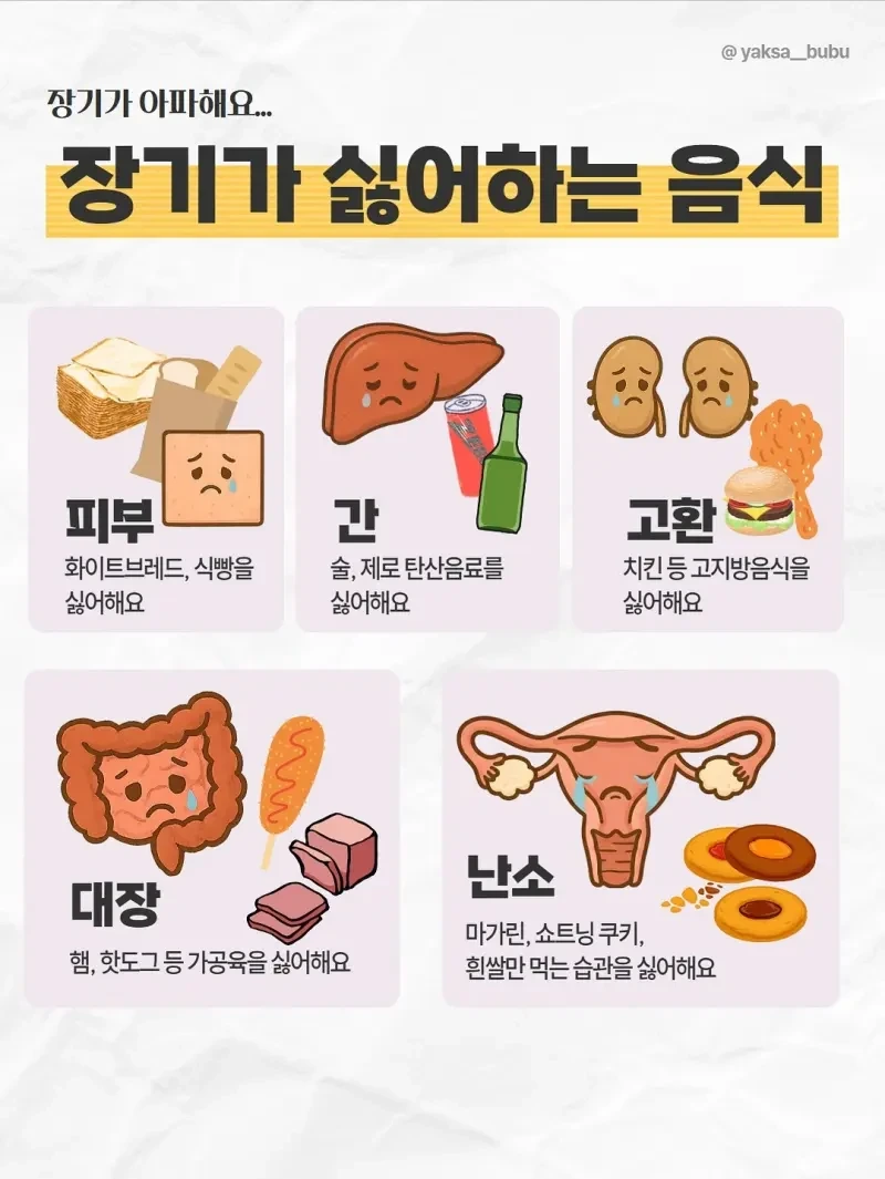 장기가 싫어하는 음식들 | 인스티즈
