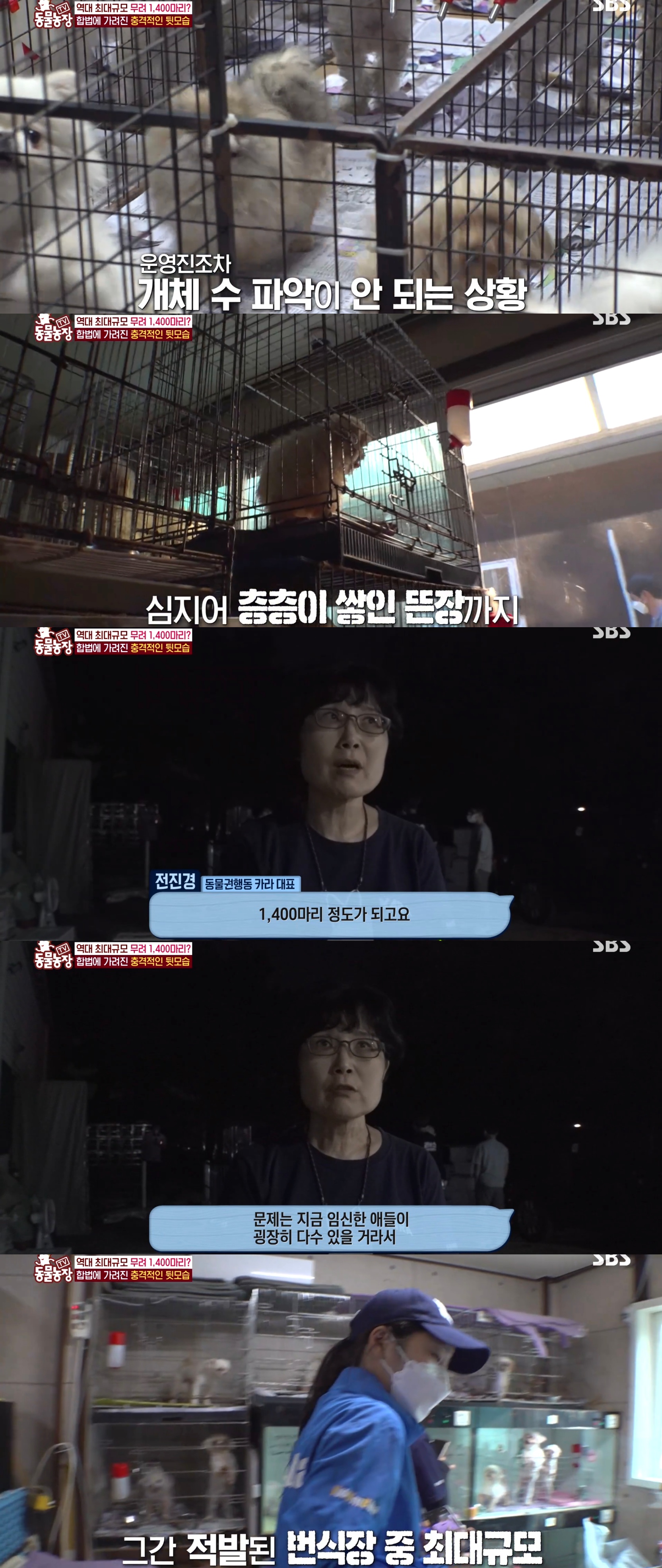 충격이다 못해 기괴한 오늘자 동물농장 폭로 방송 (충격주의).jpg | 인스티즈