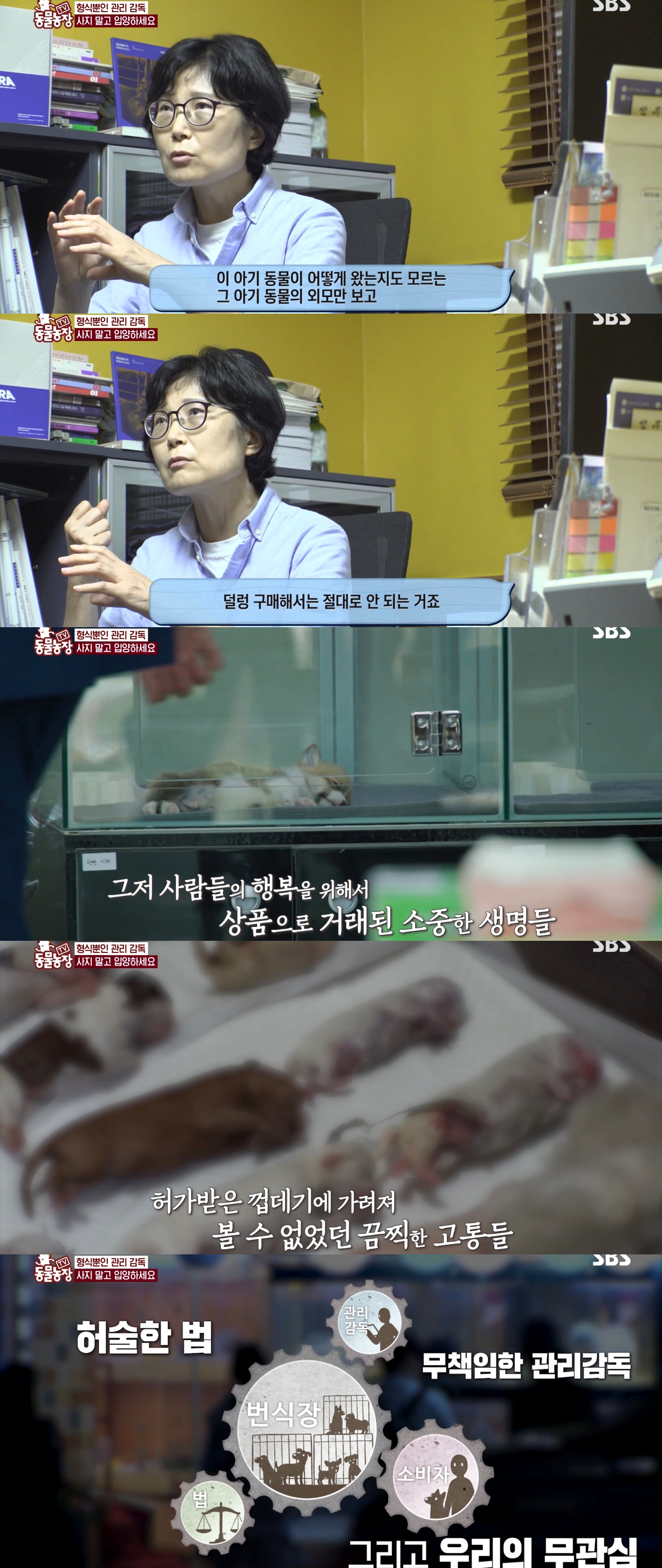 충격이다 못해 기괴한 오늘자 동물농장 폭로 방송 (충격주의).jpg | 인스티즈
