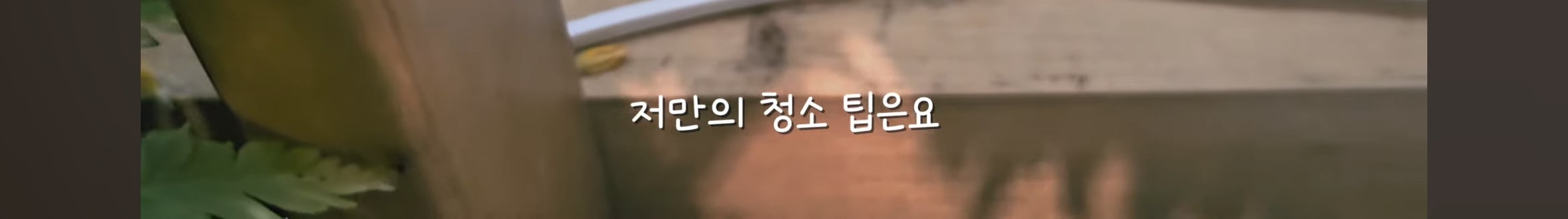 다이소로 만든 연못 정원🌿 관리 (+🐦🦜) | 인스티즈