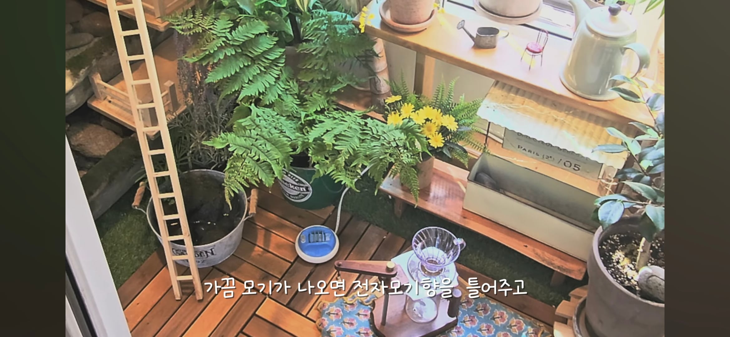 다이소로 만든 연못 정원🌿 관리 (+🐦🦜) | 인스티즈
