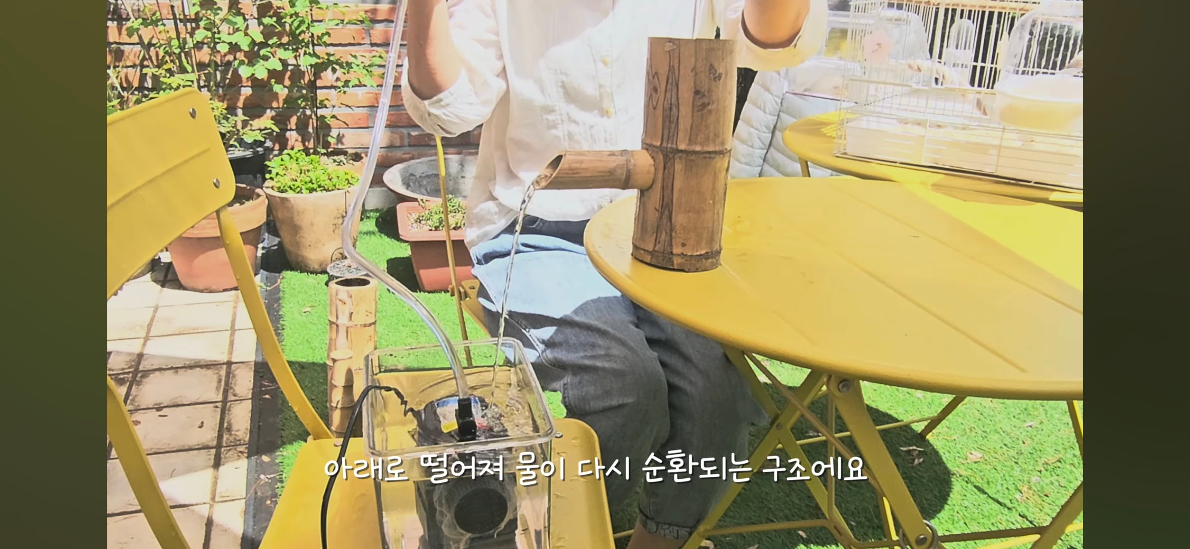 다이소로 만든 연못 정원🌿 관리 (+🐦🦜) | 인스티즈
