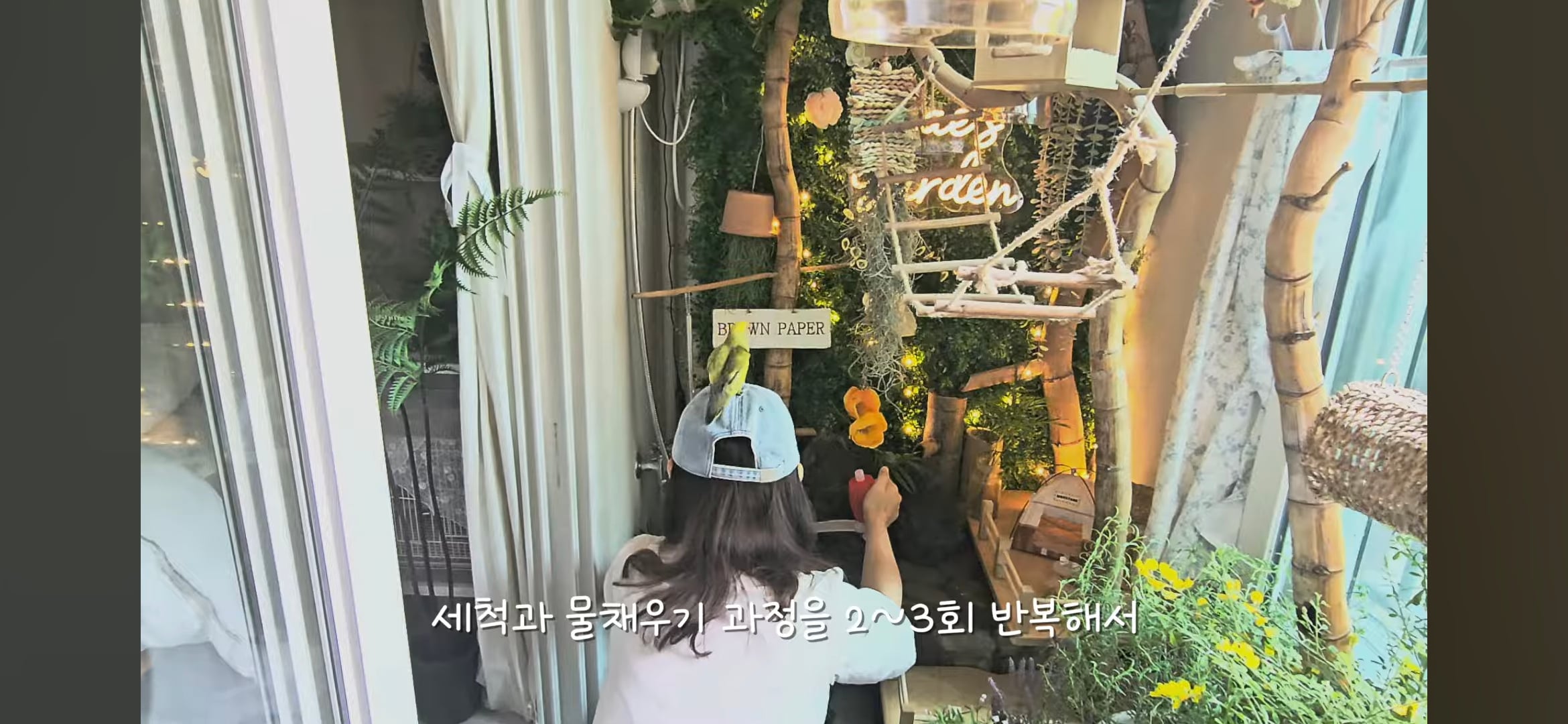 다이소로 만든 연못 정원🌿 관리 (+🐦🦜) | 인스티즈