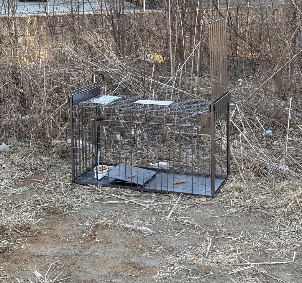 내가 멍줍해온 가나디 봐줘 ··· | 인스티즈