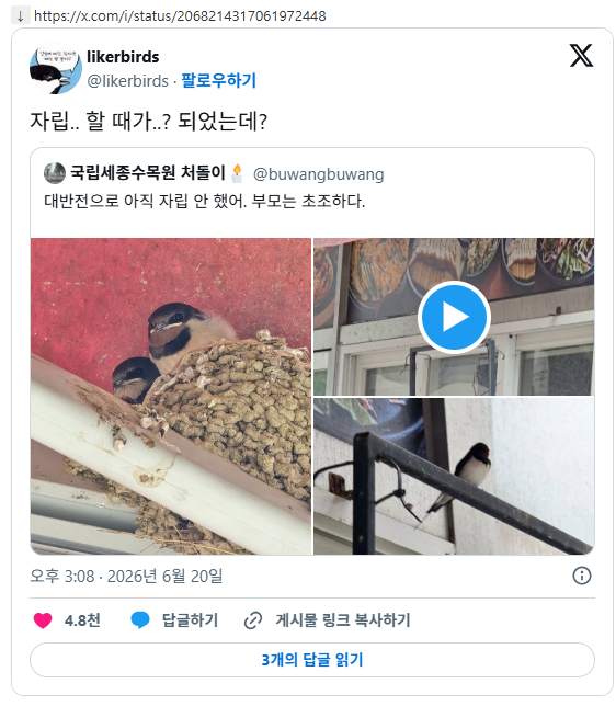 양심없는 쉬었음 제비들 | 인스티즈