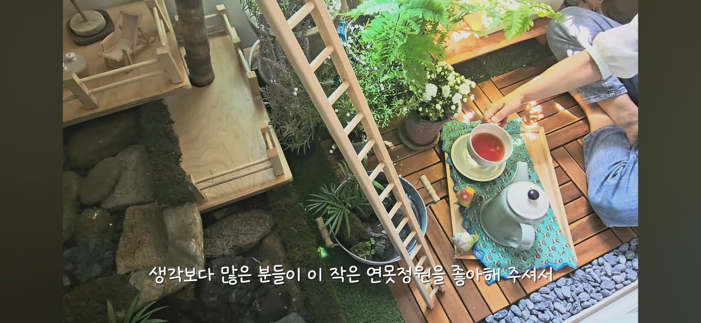 다이소로 만든 연못 정원🌿 관리 (+🐦🦜) | 인스티즈