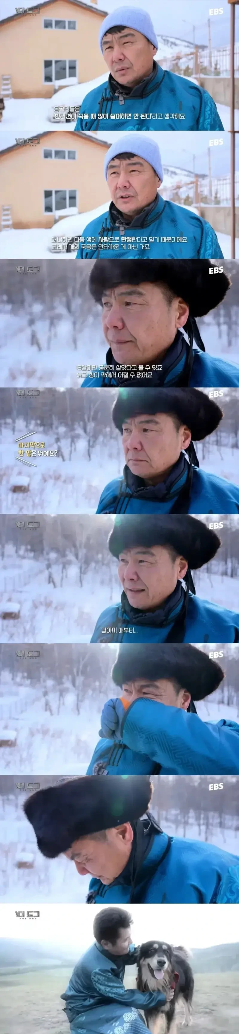 몽골인은 반려견이 죽어도 슬퍼하지 않는다 | 인스티즈