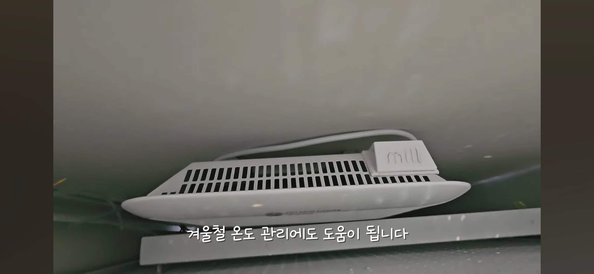 다이소로 만든 연못 정원🌿 관리 (+🐦🦜) | 인스티즈