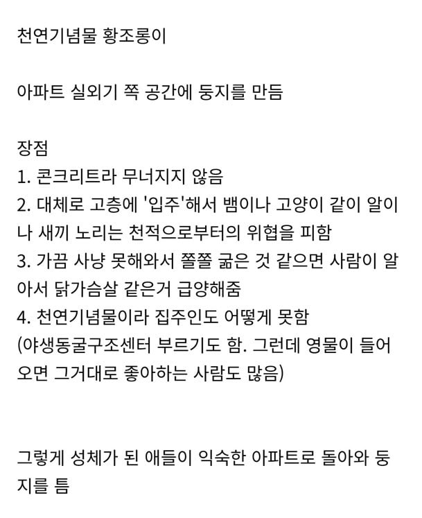 아파트 덕분에 번식률이 증가했다는 촉법동물 황조롱이 | 인스티즈