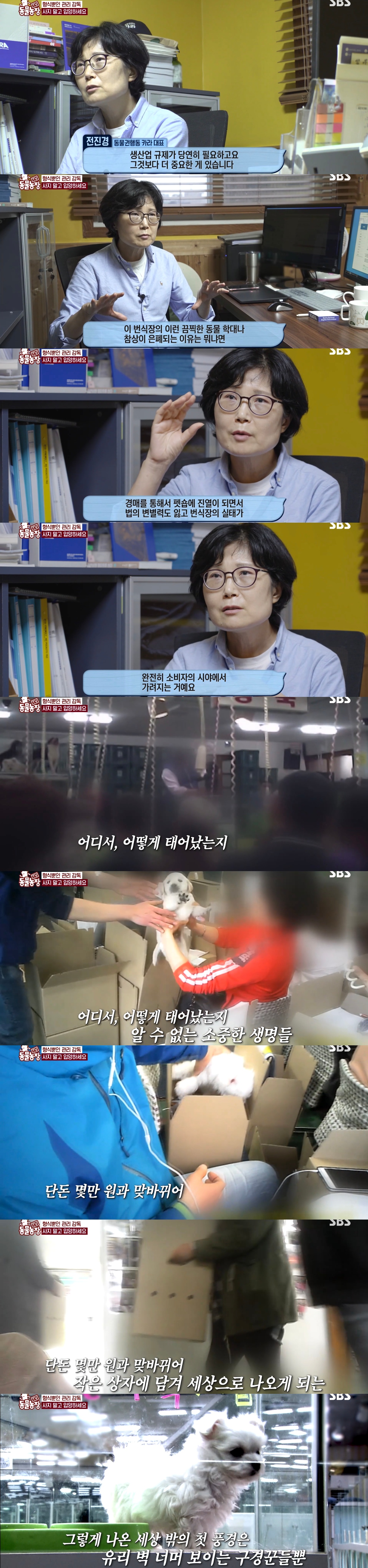 충격이다 못해 기괴한 오늘자 동물농장 폭로 방송 (충격주의).jpg | 인스티즈