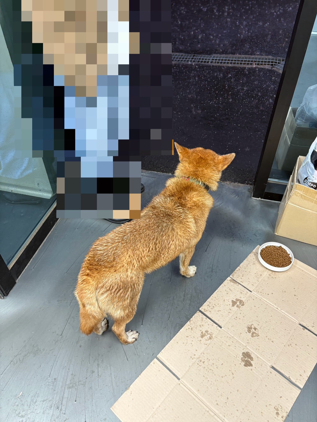 내가 멍줍해온 가나디 봐줘 ··· | 인스티즈