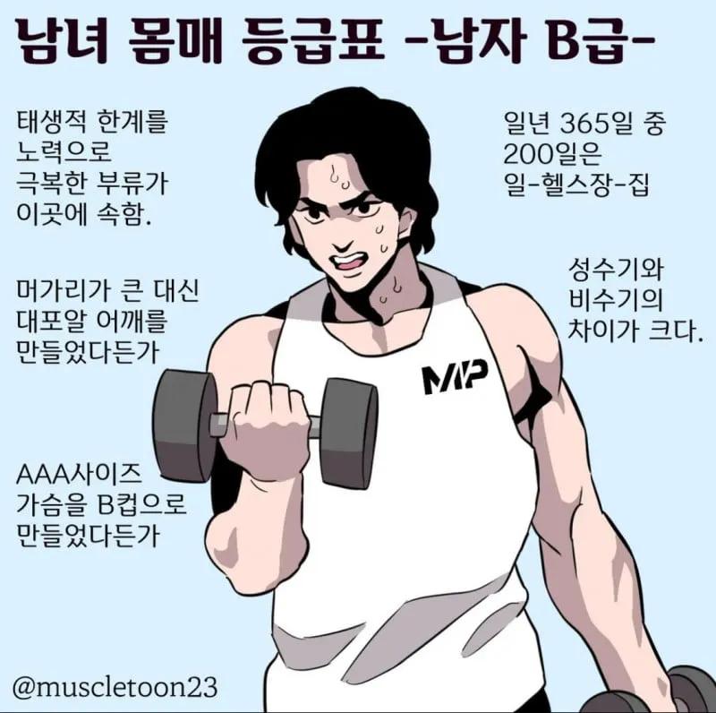 남녀 몸매 등급표 A~D | 인스티즈
