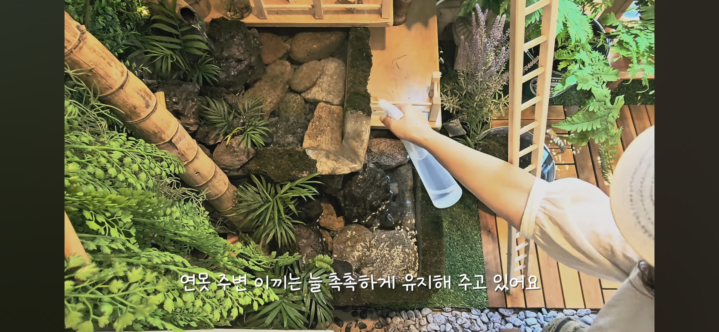 다이소로 만든 연못 정원🌿 관리 (+🐦🦜) | 인스티즈