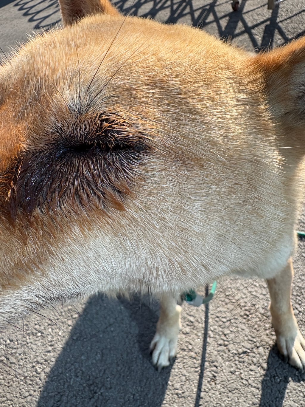 내가 멍줍해온 가나디 봐줘 ··· | 인스티즈
